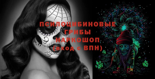 таблы Белокуриха