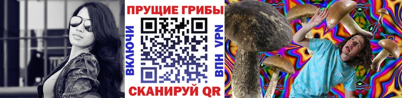 мориарти клад  Константиновск  Псилоцибиновые грибы Cubensis 